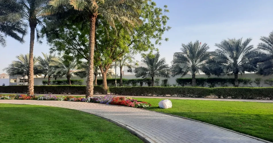 10 Best Things to Do in Ajman