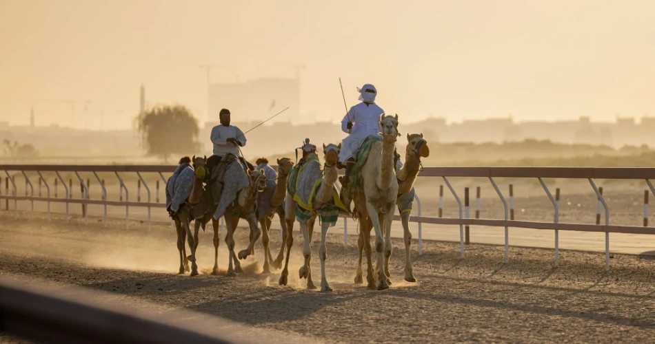 10 Best Things to Do in Ajman